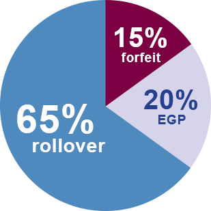 65% of employers offer FSA rollover